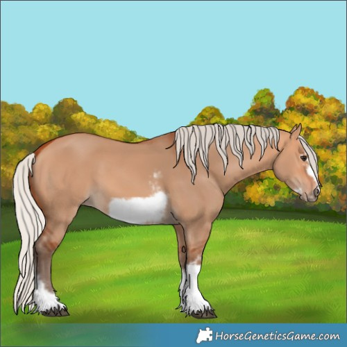 Horse Color:Silver Bay Dun Sabino Tobiano Frame Rabicano 