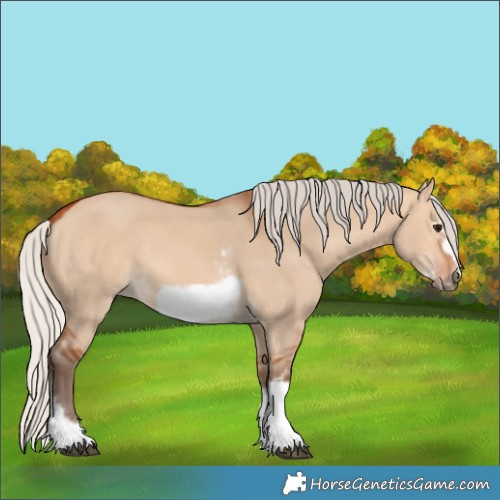 Horse Color:Silver Bay Dun Sabino Tobiano Frame Rabicano 