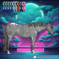 Horse Color:Smoky Black Varnish 