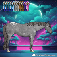 Horse Color:Smoky Black Varnish 