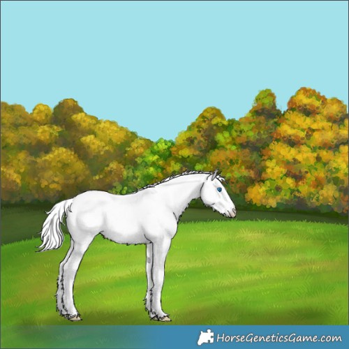 Horse Color:Silver Smoky Creme Sabino Splash Rabicano 