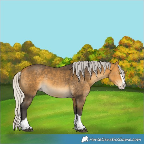 Horse Color:Silver Buckskin Splash Rabicano 