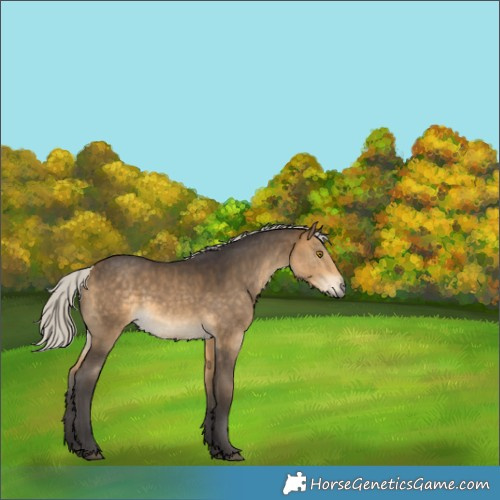Horse Color:Silver Buckskin Rabicano 