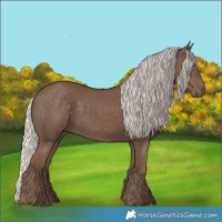 Horse Color:Silver Black 