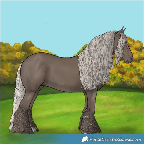 Horse Color:Silver Black 