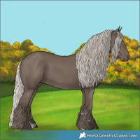 Horse Color:Silver Black 