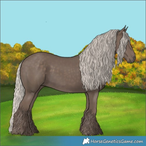 Horse Color:Silver Black 