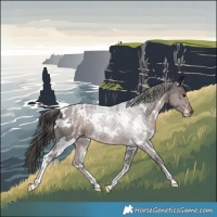 Horse Color:Powder White White Spotted Liver Chestnut