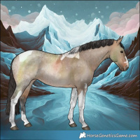 Horse Color:Bay Ice Dun Tobiano 