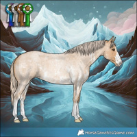 Horse Color:Palomino Roan Sabino