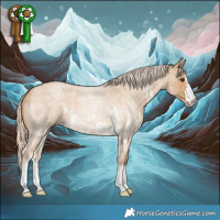 Horse Color:Palomino Roan Sabino