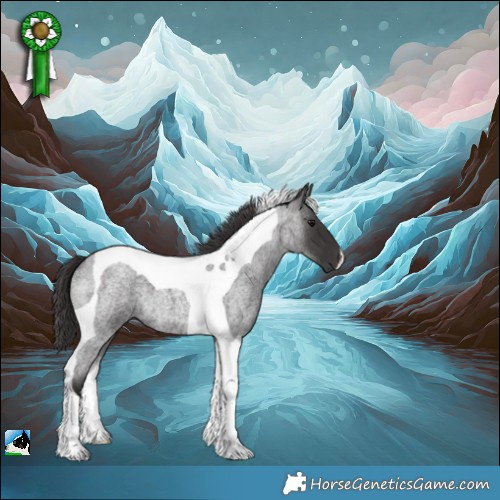 Horse Color:Smoky Blue Roan Tobiano 