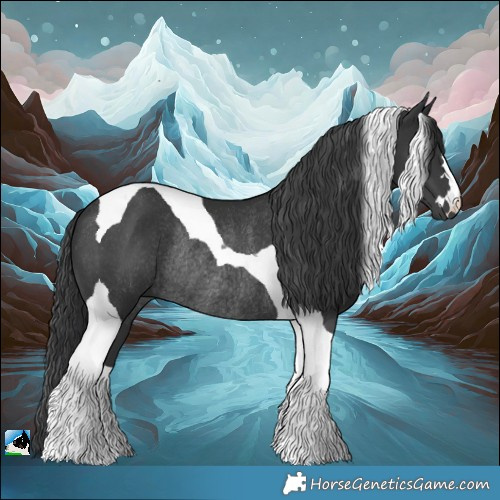 Horse Color:Black Tobiano Rabicano 