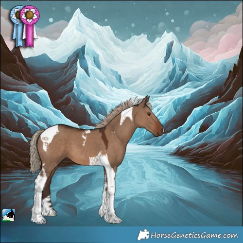 Horse Color:Liver Red Dun Tobiano 