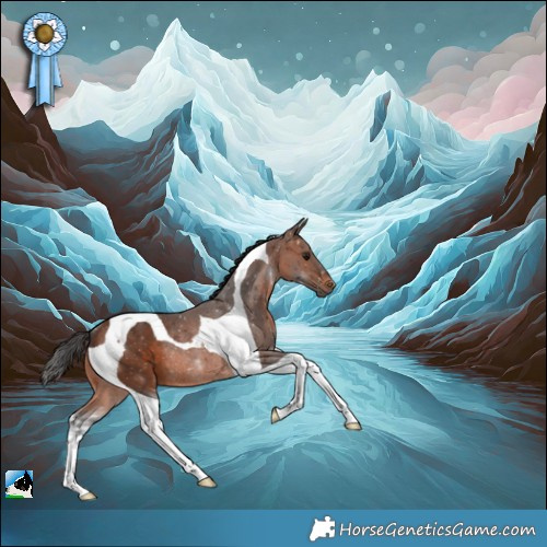 Horse Color:Brown Tobiano Rabicano