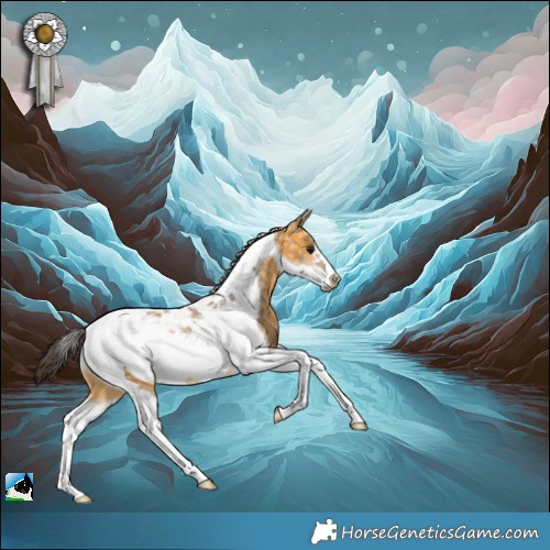 Horse Color:Buckskin Ice Tobiano Frame 