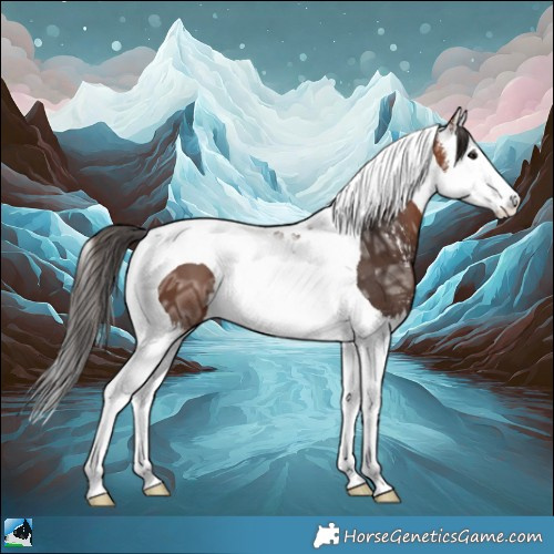 Horse Color:Bay Ice Sabino Splash Tobiano 