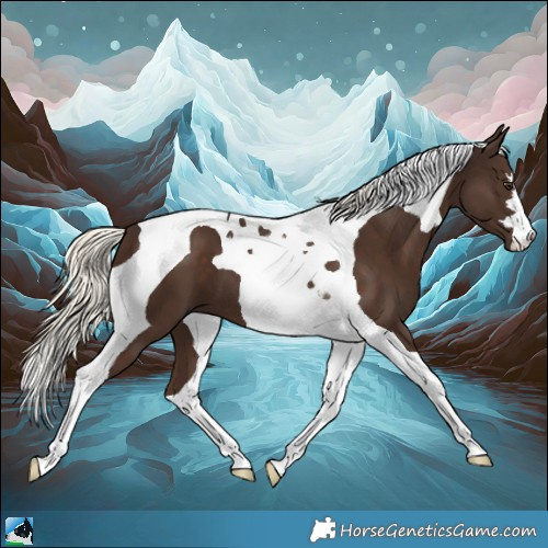 Horse Color:Liver Chestnut Mushroom Tobiano 