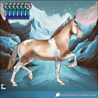 Horse Color:Gold Champagne Onyx Sabino Tobiano 