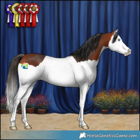 Horse Color:Bay Splash 
