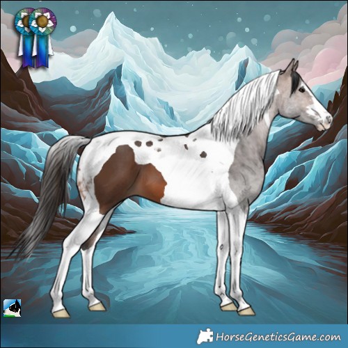 Horse Color:Brown Tobiano 