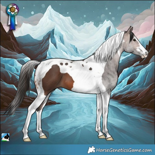 Horse Color:Brown Tobiano