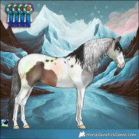 Horse Color:Brown Tobiano 