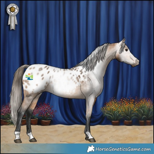 Horse Color:Gray Buckskin Blanket 