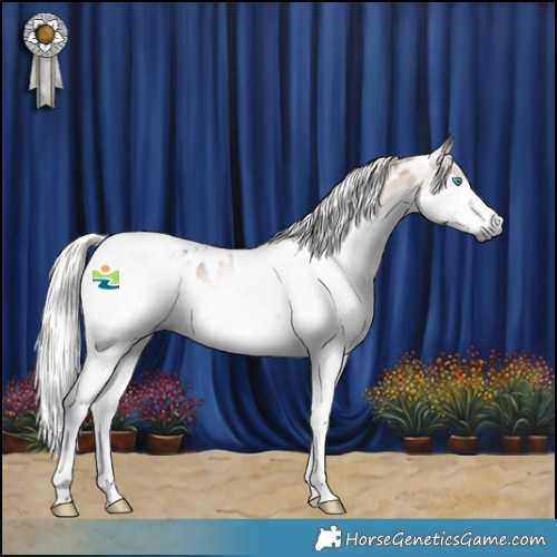 Horse Color:Gray Silver Buckskin Splash Tobiano Near Leopard 