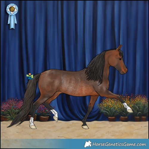 Horse Color:Bay Rabicano 