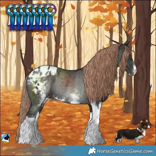 Horse Color:Liver Chestnut Sabino Varnish Rabicano