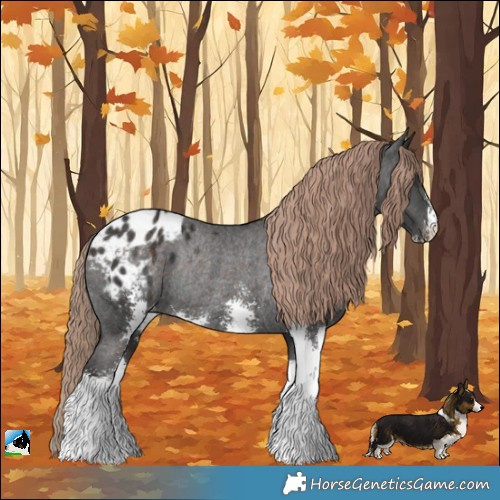 Horse Color:Liver Chestnut Sabino Appaloosa Rabicano 