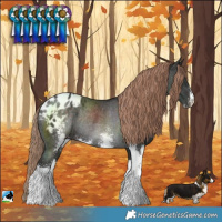 Horse Color:Liver Chestnut Sabino Varnish Rabicano 