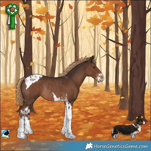 Horse Color:Liver Chestnut Sabino Tobiano Rabicano 