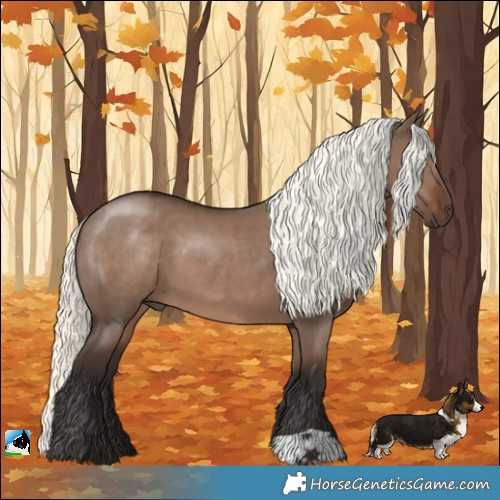 Horse Color:Liver Red Dun Mushroom 