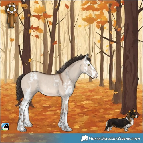 Horse Color:Sable Champagne Dun Sabino 