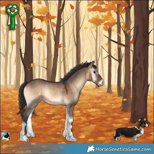 Horse Color:Brown Onyx