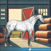 Horse Color:Gray Smoky Black Near Leopard Rabicano 