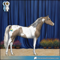 Horse Color:Silver Smoky Black Tobiano Rabicano 