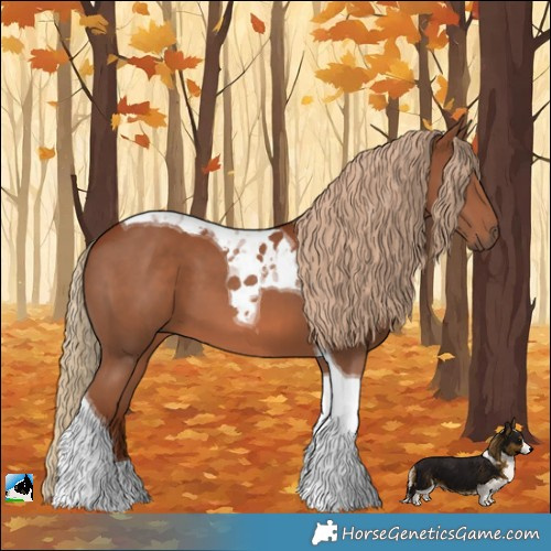 Horse Color:Chestnut Tobiano