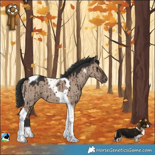 Horse Color:Liver Red Dun Tobiano Varnish Brindle 