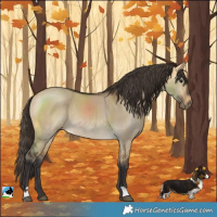 Horse Color:Buckskin Dun Rabicano
