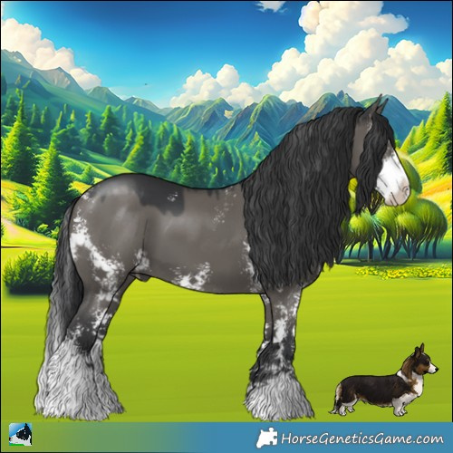 Horse Color:Grullo Mushroom Sabino 