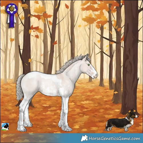 Horse Color:Gold Champagne Dun Mushroom Sabino Tobiano 
