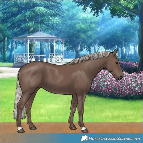Horse Color:Silver Black 