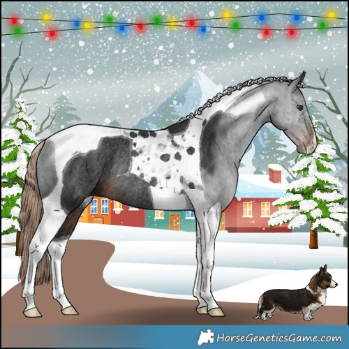 Horse Color:Liver Chestnut Tobiano Rabicano