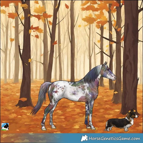 Horse Color:Nacre White Spotted Brown Frame Rabicano 