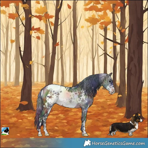 Horse Color:Nacre White Spotted Brown Frame Rabicano 