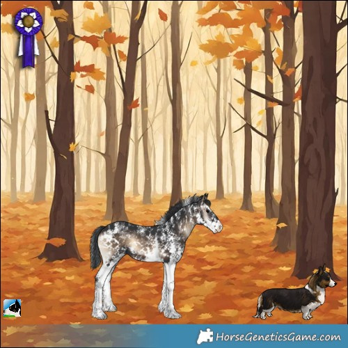 Horse Color:Brown Onyx Sabino Rabicano 