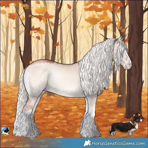 Horse Color:Gold Champagne Onyx Mushroom Sabino Splash Rabicano